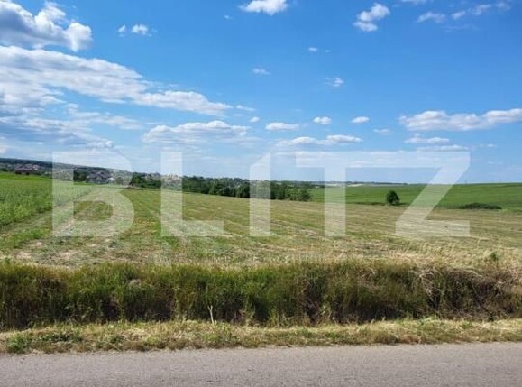 Teren de vânzare Vest - 185390TV | BLITZ Botoșani | Poza1