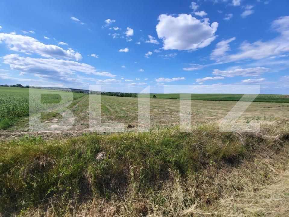 Teren de vânzare Vest - 185390TV | BLITZ Botoșani | Poza3