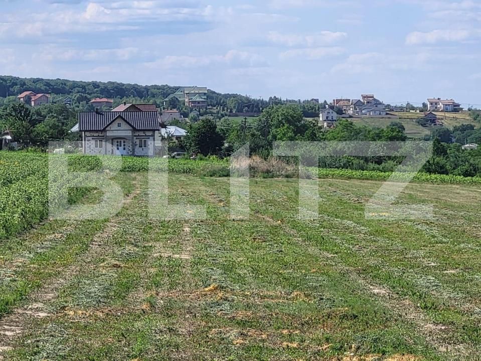Teren de vânzare Vest - 185390TV | BLITZ Botoșani | Poza2