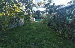 Casă tradițională cu teren generos – Brăești, Botoșani