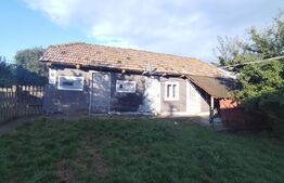 Casă tradițională cu teren generos – Brăești, Botoșani