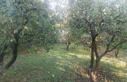 Casă tradițională cu teren generos – Brăești, Botoșani