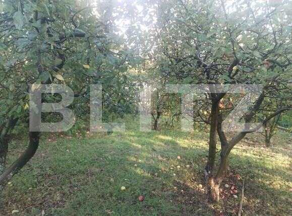 Casa de vânzare 3 camere Nord - 185392CV | BLITZ Botoșani | Poza4