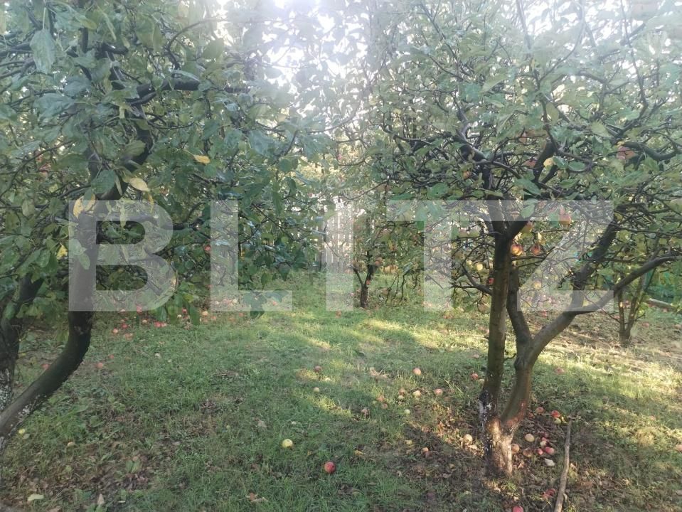 Casa de vânzare 3 camere Nord - 185392CV | BLITZ Botoșani | Poza4