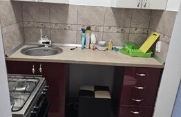 Apartament 2 camere renovat - Parcul Tineretului - Etaj 2