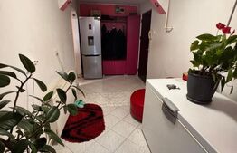Apartament 2 camere la parter - Garaj inclus -  Primăverii