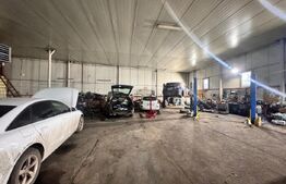 Hală industrială, teren 1.200 mp – Zona industrială Catamarasti Deal