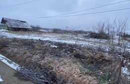 Teren Intravilan 2.337 mp - Stradă Principală - Deschidere 52 m - Unteni