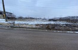 Teren Intravilan 2.337 mp - Stradă Principală - Deschidere 52 m - Unteni