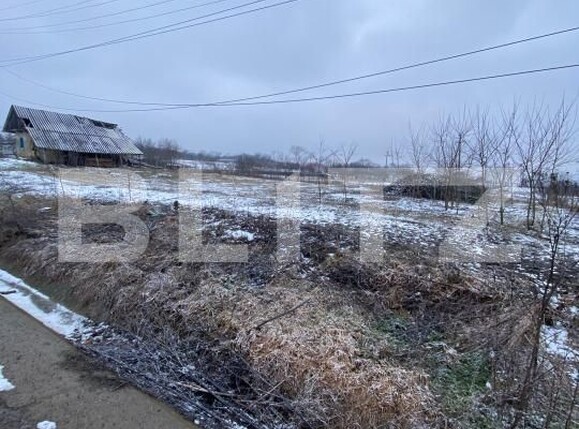 Teren de vânzare Vest - 188168TV | BLITZ Botoșani | Poza1