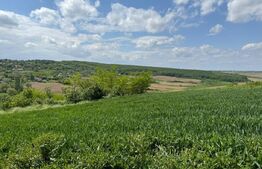 Teren extravilan 6.800 mp – Zăicești – Oportunitate investiție