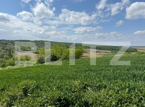 Teren de vânzare Exterior Sud - 188391TV | BLITZ Botoșani | Poza1