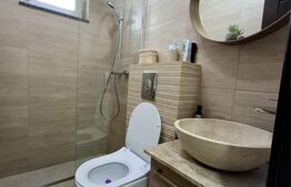 Proprietate P+E cu panouri fotovoltaice – Tudor Vladimirescu