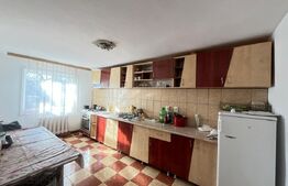 Casă individuală P+M de vânzare – Botoșani, teren generos 950 mp