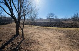 Casa batraneasca cu teren de vanzare in Calugarenii Vechi