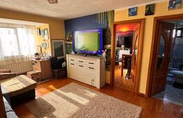 Apartament 2 camere, ideal pentru personalizare - zona Primăverii