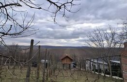 Casă deosebită cu livadă și teren generos de 7200 mp în Cătămărăști-Deal