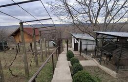 Casă deosebită cu livadă și teren generos de 7200 mp în Cătămărăști-Deal