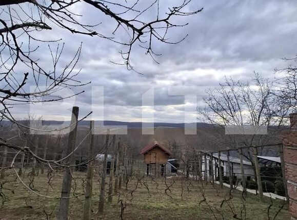 Casa de vânzare 6 camere Catamaresti-Deal - 191089CV | BLITZ Botoșani | Poza12