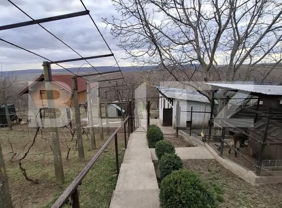 Casa de vânzare 6 camere Catamaresti-Deal - 191089CV | BLITZ Botoșani | Poza13