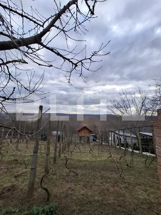 Casa de vânzare 6 camere Catamaresti-Deal - 191089CV | BLITZ Botoșani | Poza12