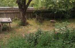 Casă bătrânească de vânzare – Brăești, județul Botoșani