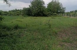 Casă bătrânească de vânzare – Brăești, județul Botoșani