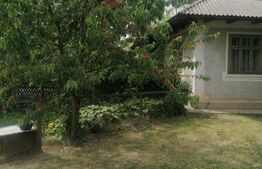 Casă bătrânească de vânzare – Brăești, județul Botoșani