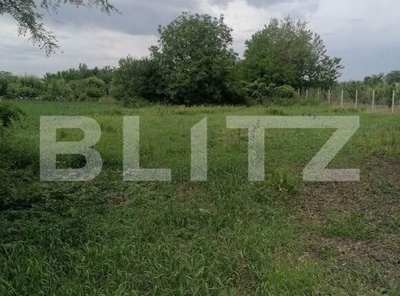 Casa de vânzare 3 camere Braesti - 191627CV | BLITZ Botoșani | Poza2