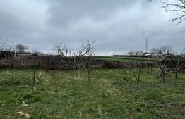 Casă din caramida, cu teren 5810 mp - Calinesti 