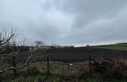 Casă din caramida, cu teren 5810 mp - Calinesti 