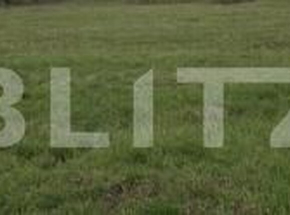 Teren de vânzare Sud-Est - 192437TV | BLITZ Botoșani | Poza1