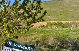 Teren intravilan 3.300 mp, deschidere 26 ml – Băiceni, Curtești