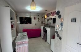 Spațiu comercial renovat, gata de utilizare, 16 mp - Botosani