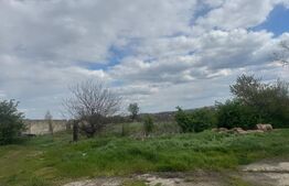 Spațiu Industrial/Comercial 838 mp | Teren 5.132 mp  | Dorohoi