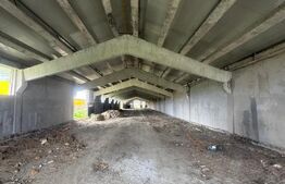 Spațiu Industrial/Comercial 838 mp | Teren 5.132 mp  | Dorohoi
