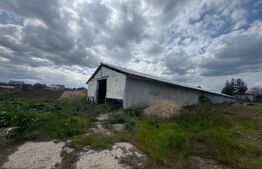 Spațiu Industrial/Comercial 838 mp | Teren 5.132 mp  | Dorohoi