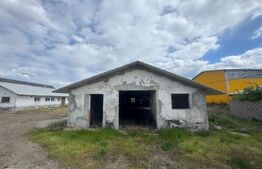 Spațiu Industrial/Comercial 838 mp | Teren 5.132 mp  | Dorohoi