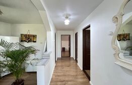 Spatiu birou + hală depozitare de inchiriat, Botoșani