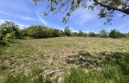 Teren intravilan, 1600 mp, sat Cucorani 