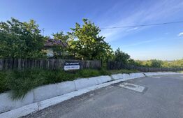 Teren intravilan, 3180 mp cu casa batraneasca - Sat Cucorani 