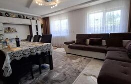 Vilă spațioasă  – 300 mp utili, teren 4600 mp, DN în Brehuiești
