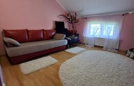Vilă spațioasă  – 300 mp utili, teren 4600 mp, DN în Brehuiești