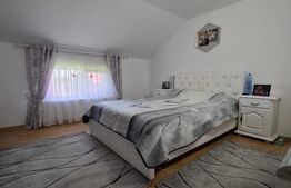 Vilă spațioasă  – 300 mp utili, teren 4600 mp, DN în Brehuiești