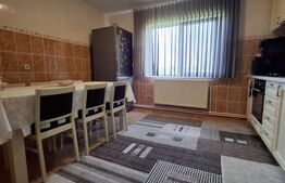 Vilă spațioasă  – 300 mp utili, teren 4600 mp, DN în Brehuiești