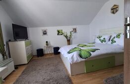 Vilă spațioasă  – 300 mp utili, teren 4600 mp, DN în Brehuiești