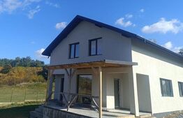 Casă individuală, P+M 150mp, teren 1050 mp - Cătămărăști Vale 