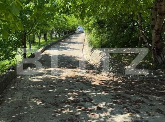 Casa de vânzare 5 camere Curtesti - 196077CV | BLITZ Botoșani | Poza13