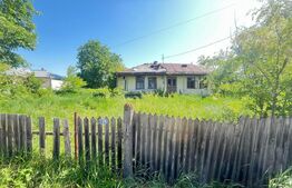 Casă bătrânească de vânzare în Tocileni, cu teren generos de 2019 mp