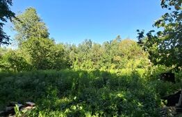 Casă bătrânească cu teren 1335 mp în zona Popa Șapcă – ideală pentru renovare